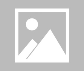 【智利甲】努布伦斯vs帕莱斯蒂诺比赛结果：努布伦斯(1-0)帕莱斯蒂诺比分战报(2025年08月17日)